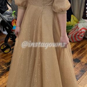 Beautiful custom made Blush/Gold tulle Gown for Sale