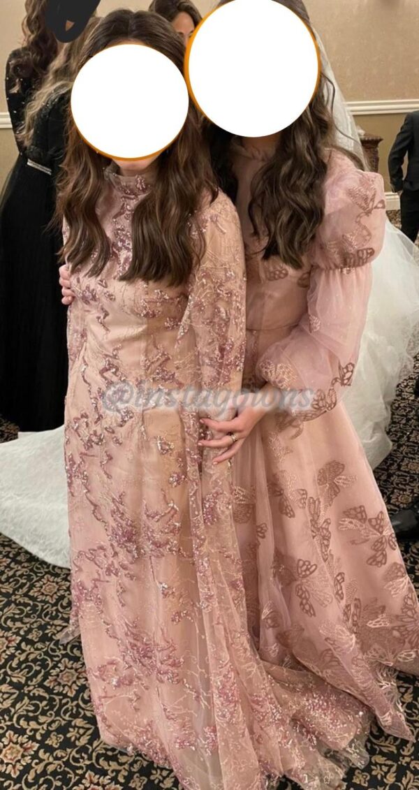 Gorgeous Raquel Mother of the Bride Eli Saab Style Gown for sale