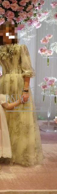 Elegant Jason Wu printed tulle gown for sale