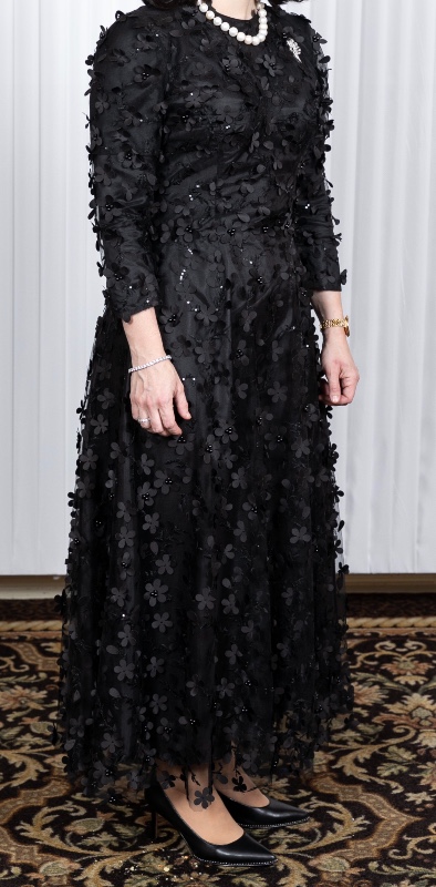 Married sister of the bride gown in beautiful condition for sale