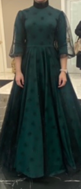 Beautiful black and green exquisite gown for sale