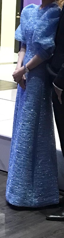 STRIKING Exquisite Gown for Sister of the bride for sale!