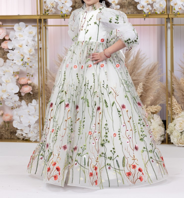 Beautiful embroidered girls gown for rent/sale