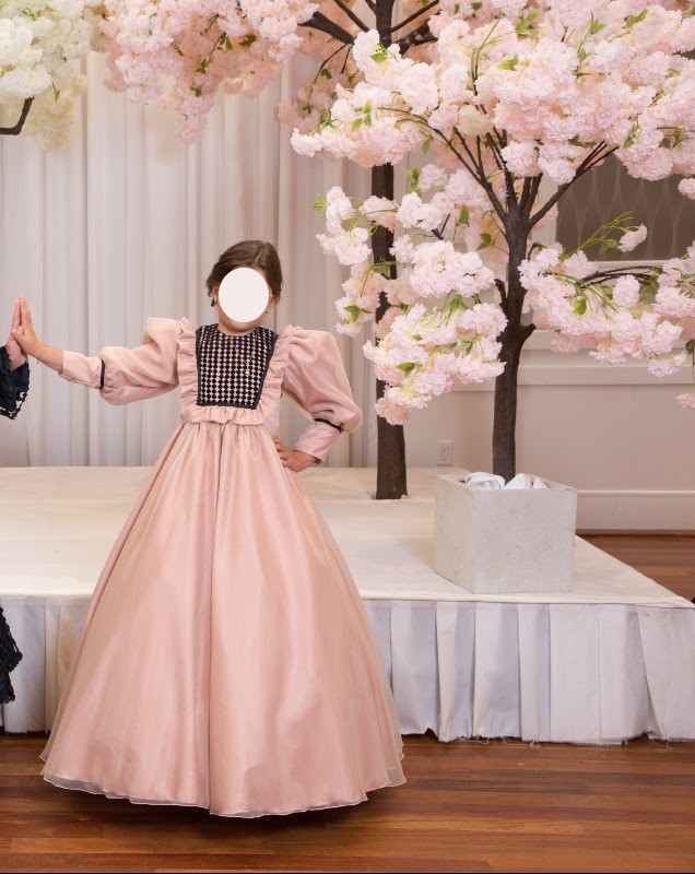 magnificent children's gown for rent or sale
