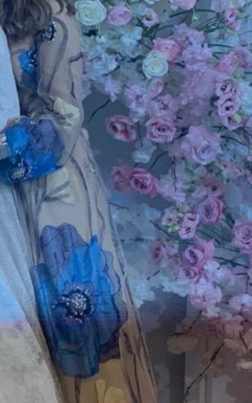 Gorgeous Costarellos SOTB gown for sale