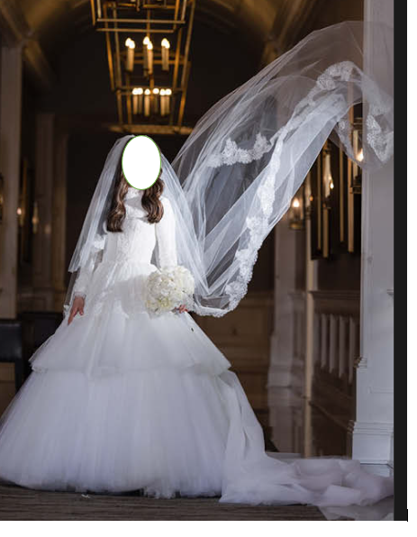 Gorgeous Designer Gown for Sale