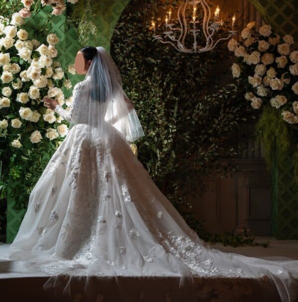 Tony Ward STUNNING Bridal Gown for Sale or Rent!