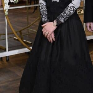 Zimmermann Sensory lace yoke party dress