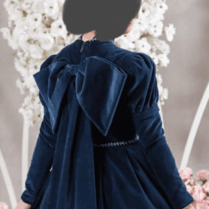 Elegant blue velvet gowns for sale