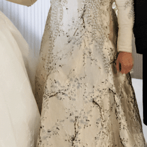 Elegant Raquel gown