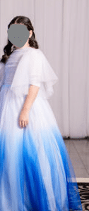 Beautiful Papillon blue ombre gown for sale